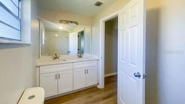 bathroom with vanity and hardwood / wood-style floors