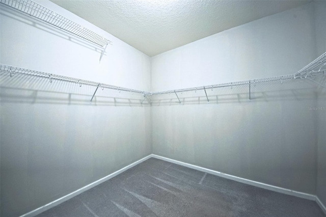 spacious closet with dark carpet