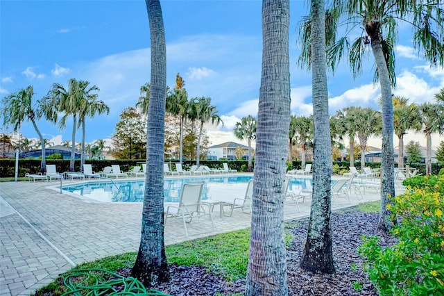 view of pool with a patio