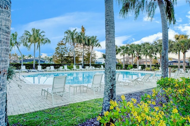 view of pool with a patio area