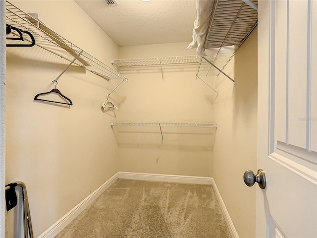 spacious closet featuring carpet