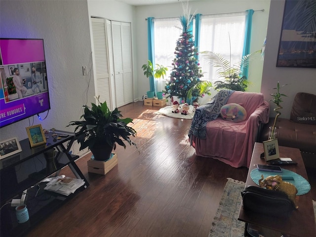 living room featuring dark hardwood / wood-style flooring