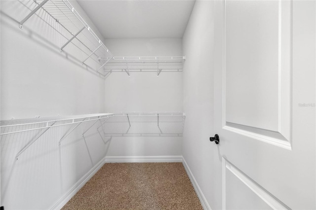 spacious closet with carpet floors