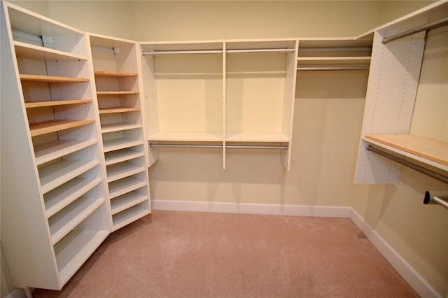 spacious closet featuring carpet