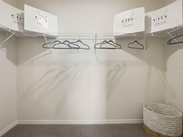 spacious closet featuring carpet flooring