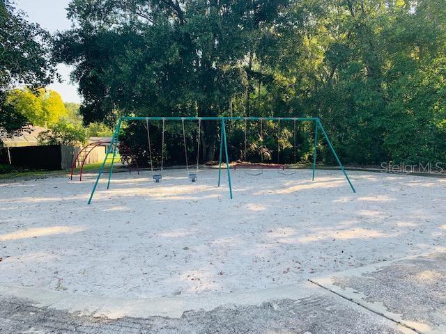 view of jungle gym