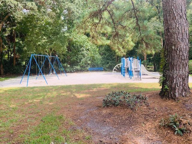 view of jungle gym