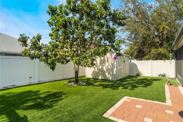 view of yard featuring a patio area and a storage shed