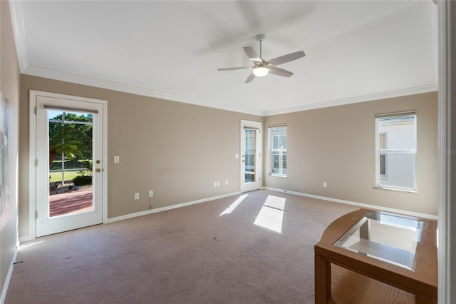 carpeted spare room with ceiling fan and ornamental molding