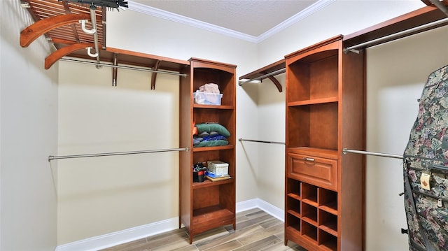 spacious closet featuring hardwood / wood-style floors