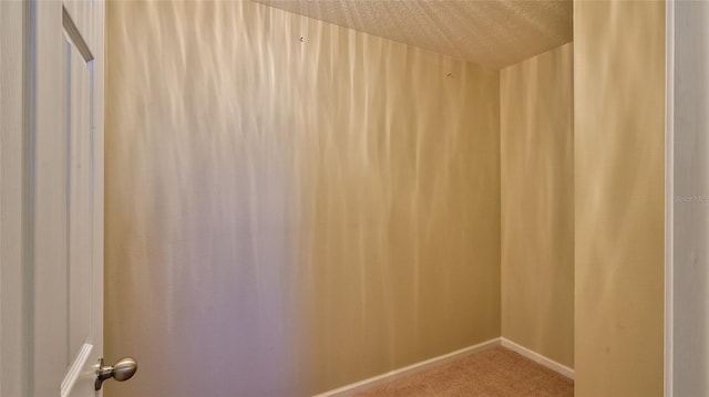 view of sauna featuring carpet