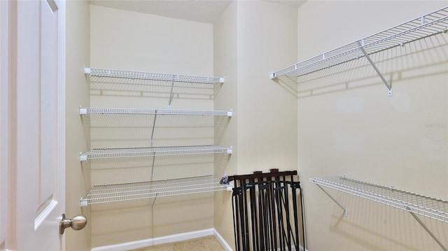 walk in closet with carpet floors