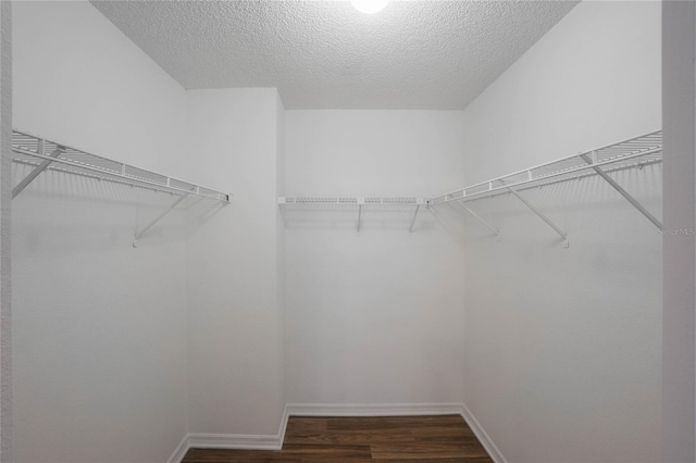 spacious closet featuring dark hardwood / wood-style flooring