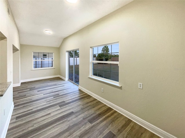 interior space with vaulted ceiling and dark wood-type flooring