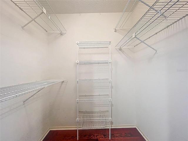 walk in closet with wood-type flooring