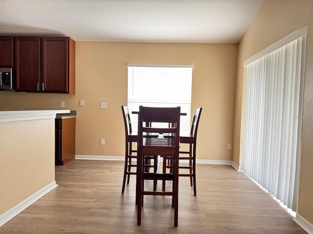 dining room with light hardwood / wood-style floors