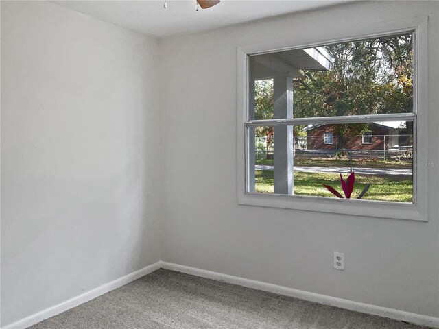 10009 Connecticut St, Gibsonton, FL 33534 - photo 20