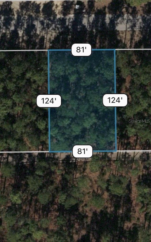 SW 81st Cir, Ocala FL, 34473 land for sale