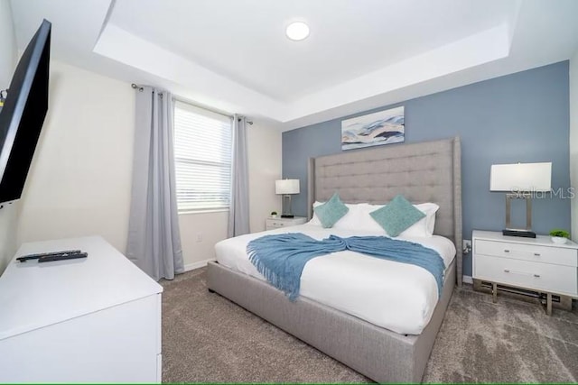 carpeted bedroom featuring a tray ceiling