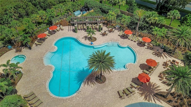 view of swimming pool featuring a patio