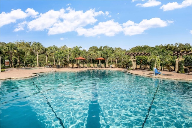 view of swimming pool with a patio area