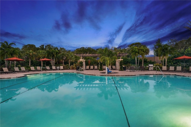 view of swimming pool featuring a patio