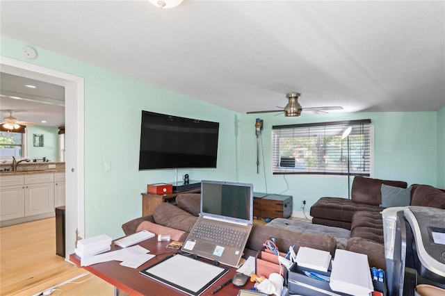 living room featuring ceiling fan, a textured ceiling, and light wood-type flooring