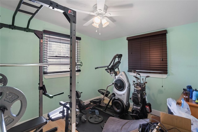 workout area featuring hardwood / wood-style floors and ceiling fan