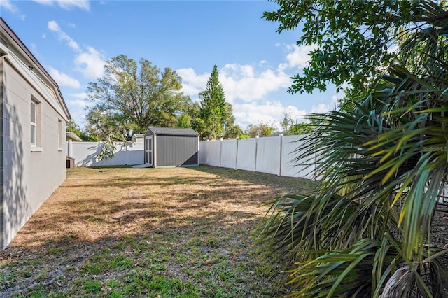 view of yard with a storage shed