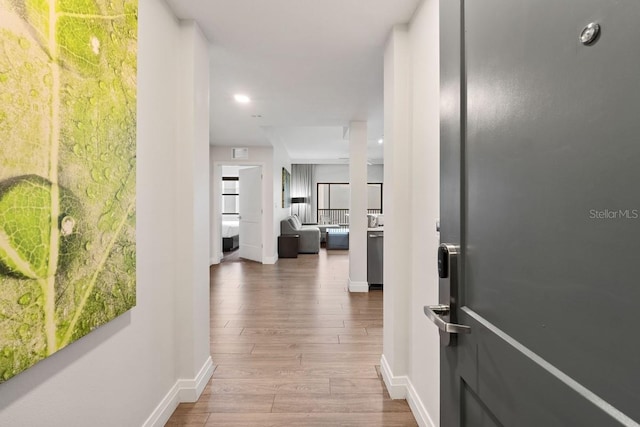 hall featuring hardwood / wood-style floors