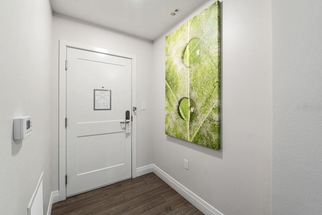 entryway featuring dark hardwood / wood-style flooring