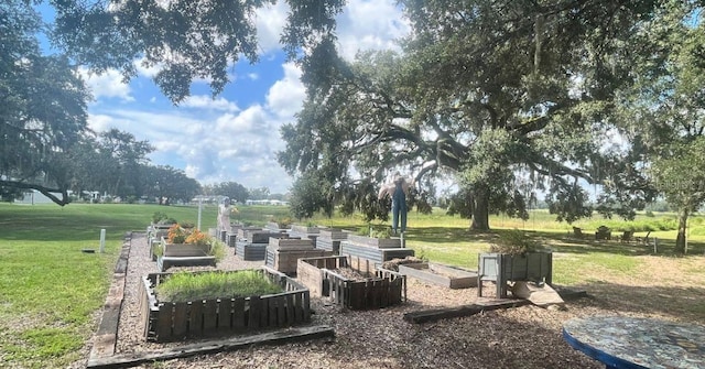 12133 Grand Oak Ln, Oxford, FL 34484 - view of home's community with a yard