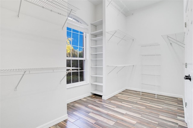 spacious closet featuring wood-type flooring