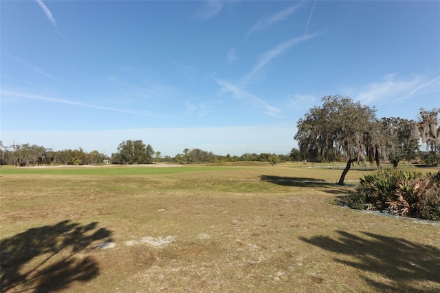 view of local wilderness