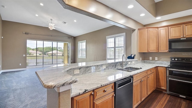 kitchen with kitchen peninsula, stainless steel appliances, plenty of natural light, and sink