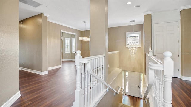 corridor featuring plenty of natural light, dark hardwood / wood-style floors, and crown molding