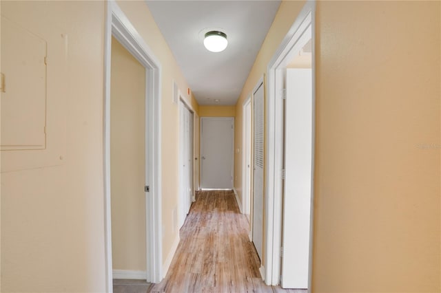 hallway with light hardwood / wood-style flooring