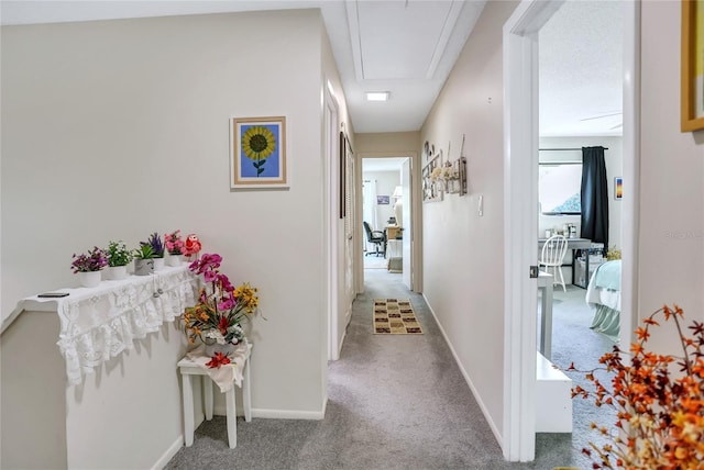 corridor with carpet flooring