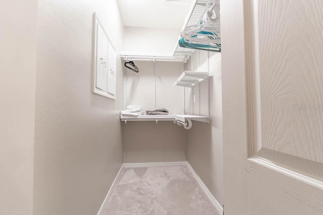 walk in closet featuring light carpet