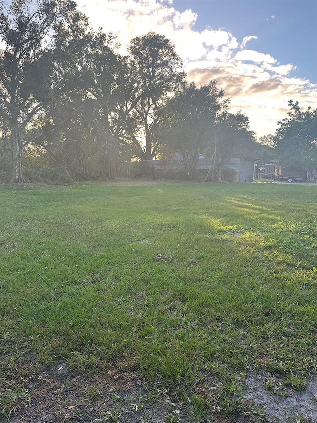 view of yard at dusk