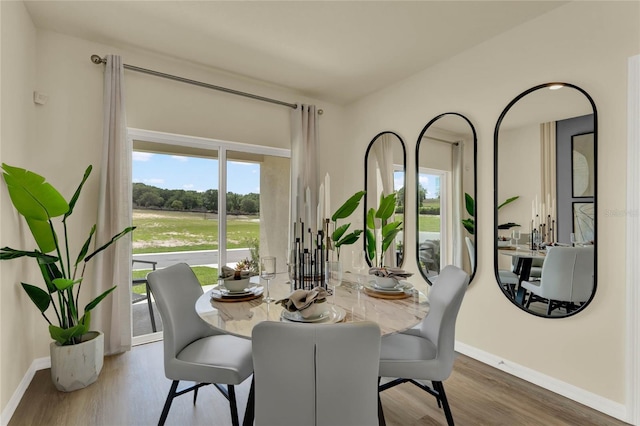 dining area featuring dark hardwood / wood-style floors and a wealth of natural light