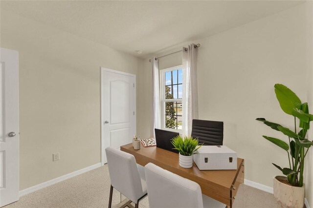 office area featuring light colored carpet