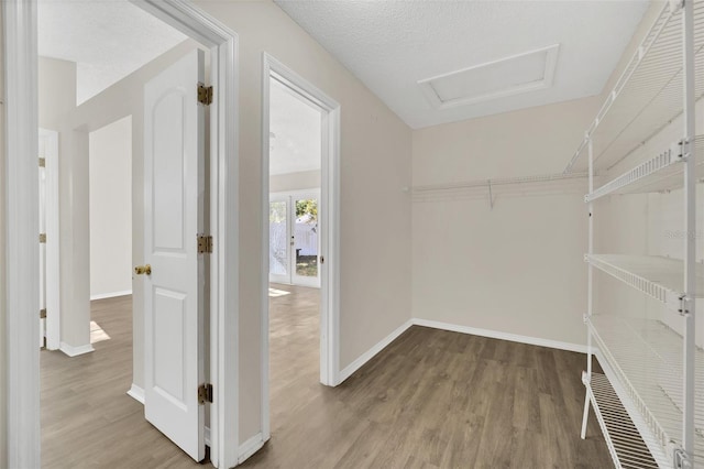 walk in closet with light hardwood / wood-style floors