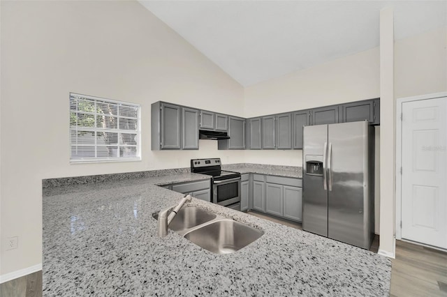 kitchen with high vaulted ceiling, sink, light hardwood / wood-style flooring, light stone countertops, and appliances with stainless steel finishes