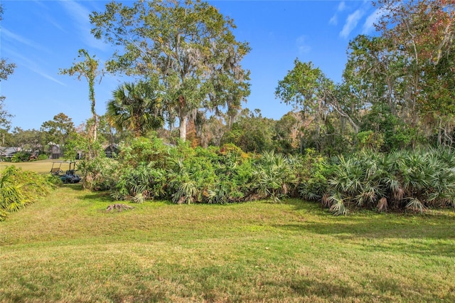 944 Torrey Pine Dr, Winter Springs, FL 32708 - view of green lawn