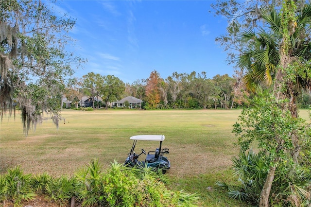 944 Torrey Pine Dr, Winter Springs, FL 32708 - view of green lawn with view of golf course