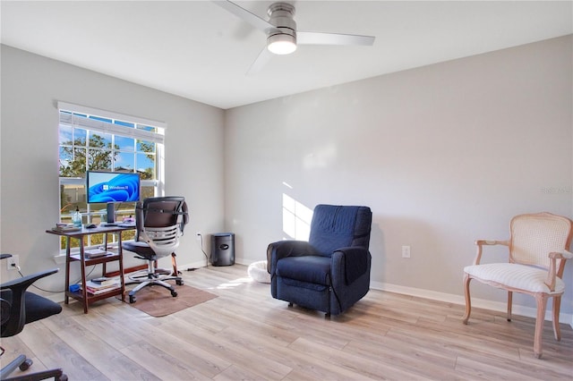 office space with ceiling fan and light hardwood / wood-style flooring