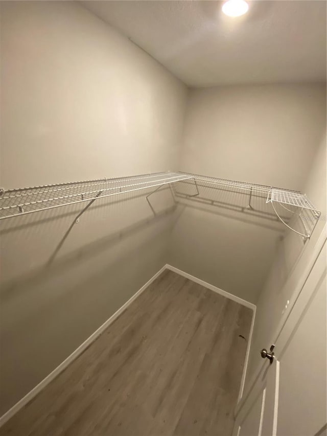 spacious closet with hardwood / wood-style flooring