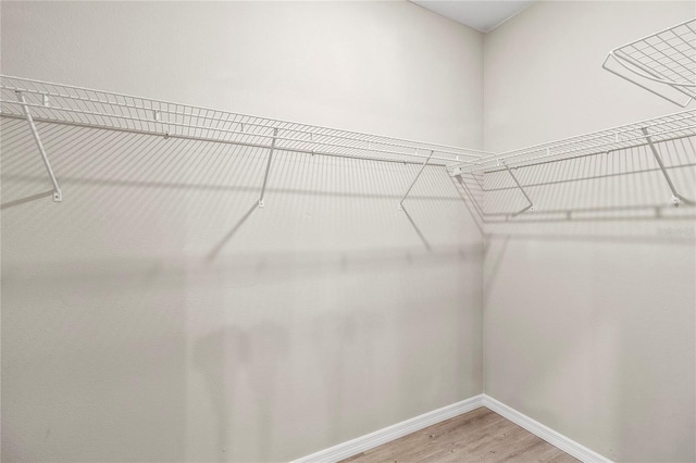 spacious closet featuring wood-type flooring