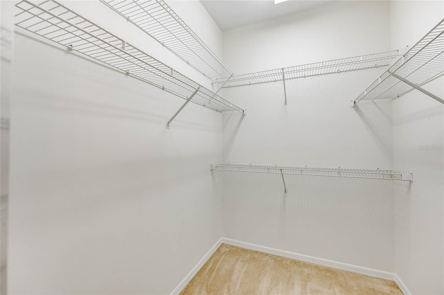 walk in closet featuring light colored carpet